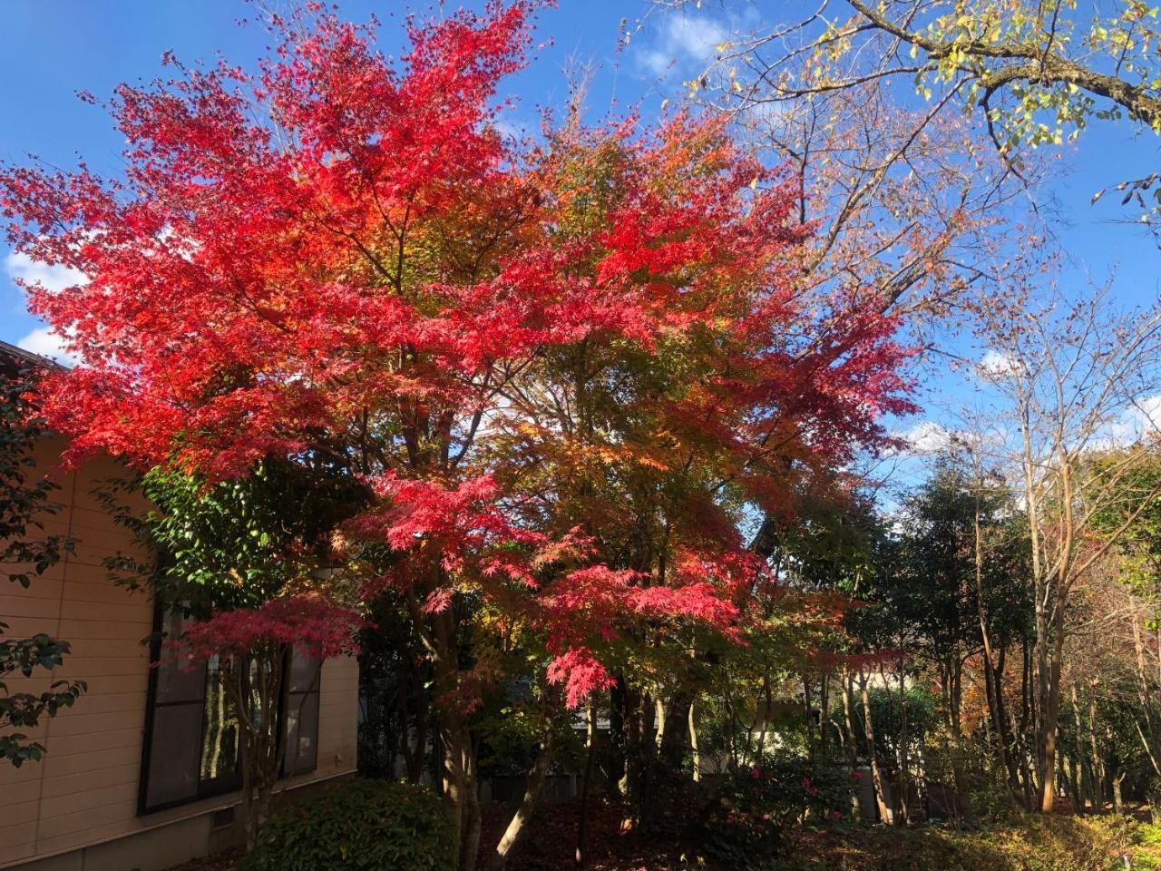Yufuin Hoshinosato Bed & Breakfast Exterior foto